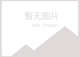 合山字迹咨询有限公司